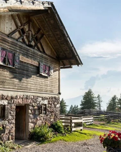 Malga Wurzer Alm