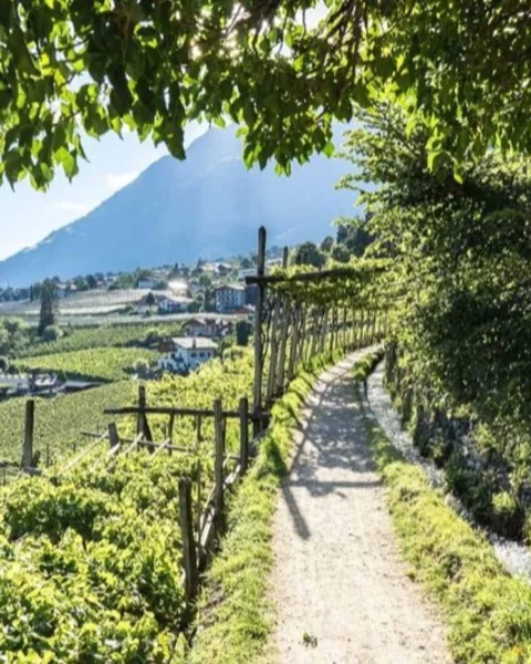 Sentieri d'acqua a Merano