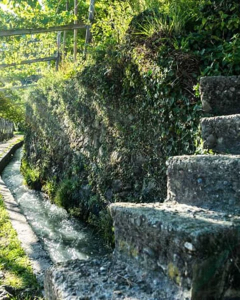 Sentiero d’acqua di Lagundo