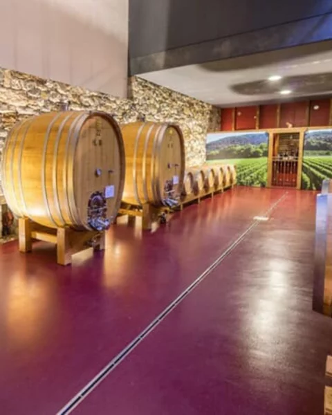 Visita alle cantine di Merano