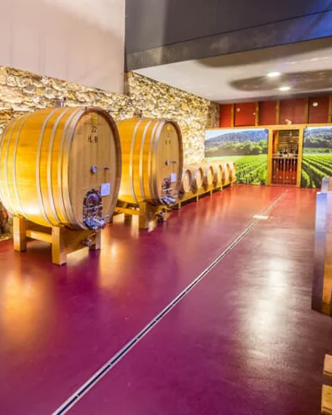 Cantine private a Merano e dintorni
