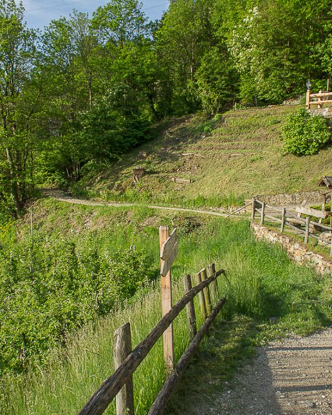 Sentiero della roggia di Marlengo con ringhiera