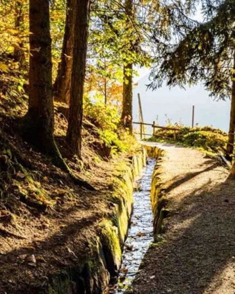 Il sentiero d’acqua di Scena