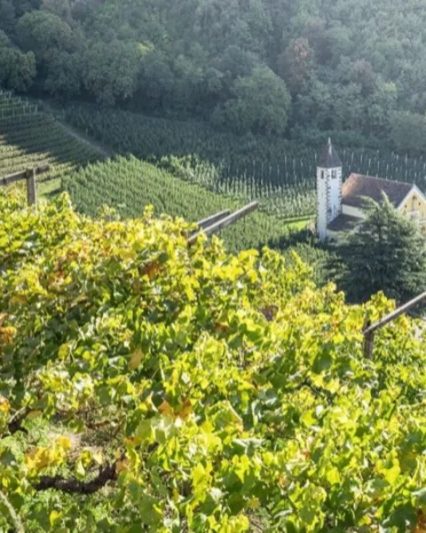 10 cose da fare a Merano a Settembre
