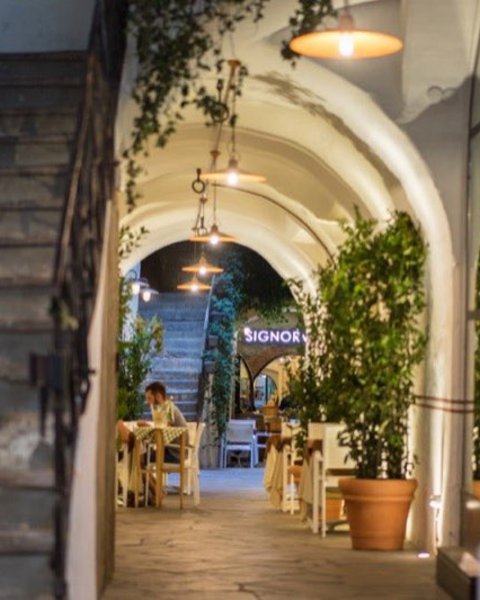 Signorvino