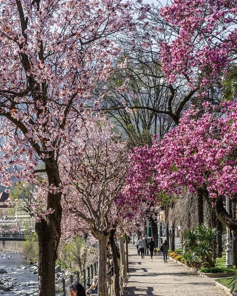 Le 10 cose da non perdere a Merano ad aprile