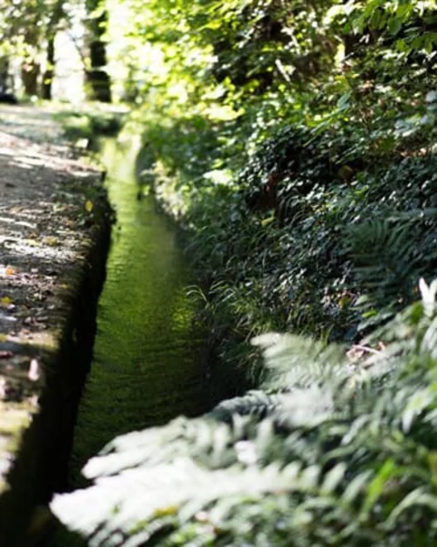 Sentiero d’acqua di Maia