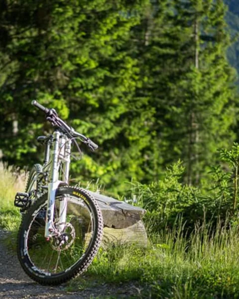 Mountainbike a Merano