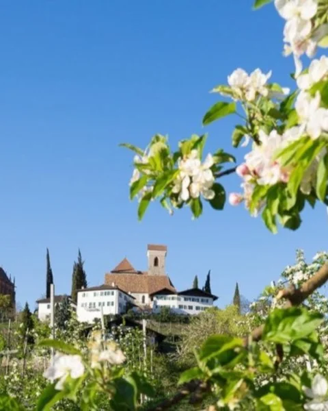 Le 10 cose da fare a Merano a Marzo