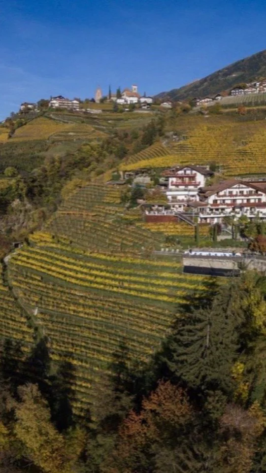 Autunno nei vigneti sopra Merano
