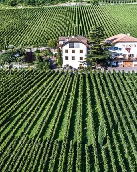 Tenuta Plonerhof