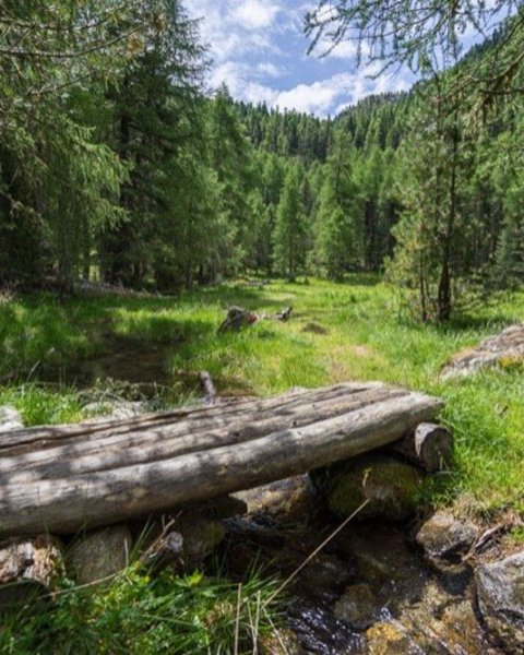 Malga Zirmtal
