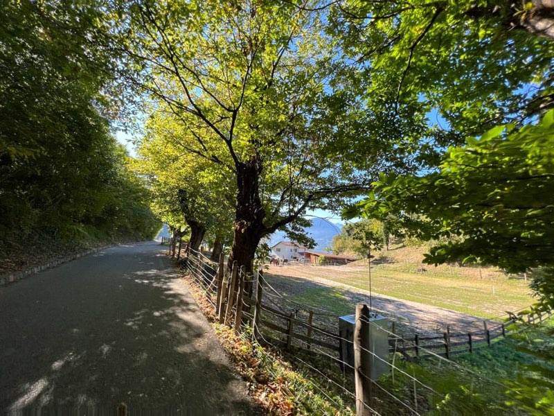 Tour in e-bike al maso Greiter sopra Merano