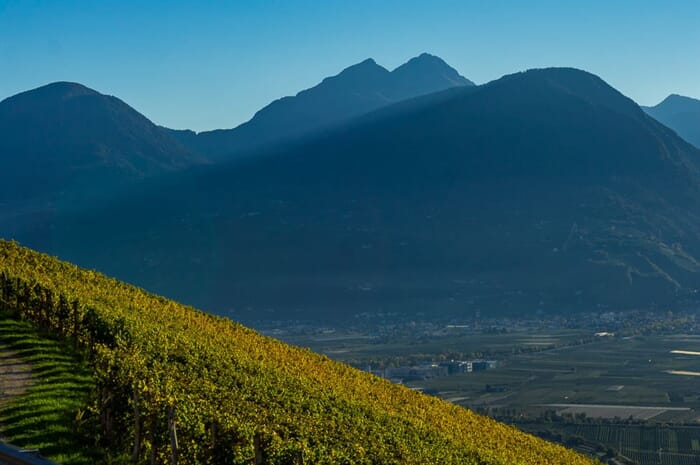 Visita i vigneti attorno a Merano