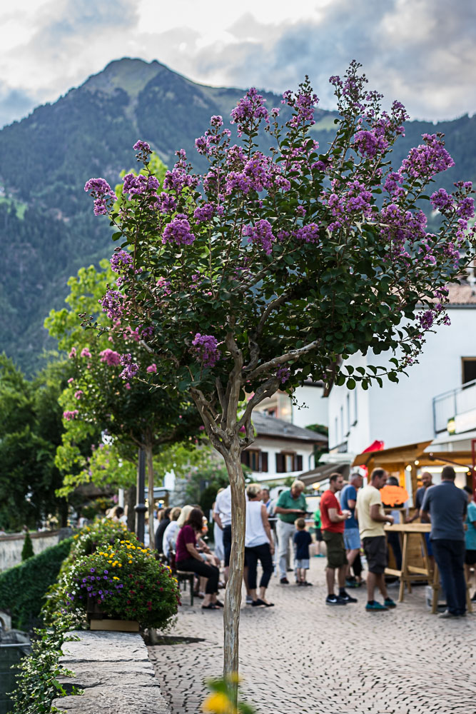 Tirolo