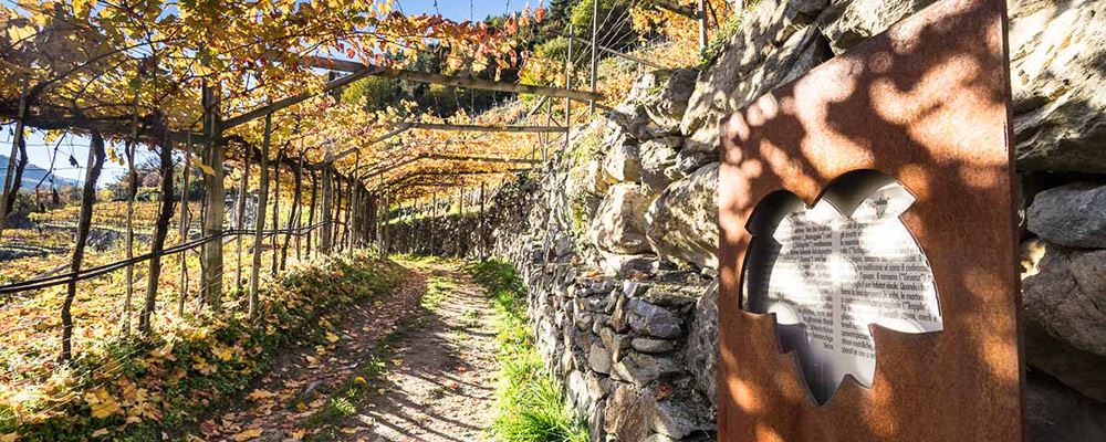 Sentiero del vino di Lagundo