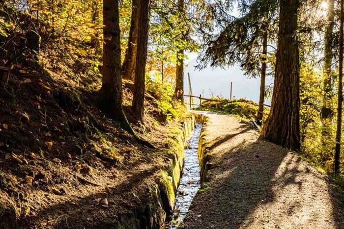 Il sentiero d’acqua di Scena