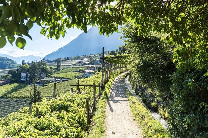 Sentieri d'acqua a Merano 