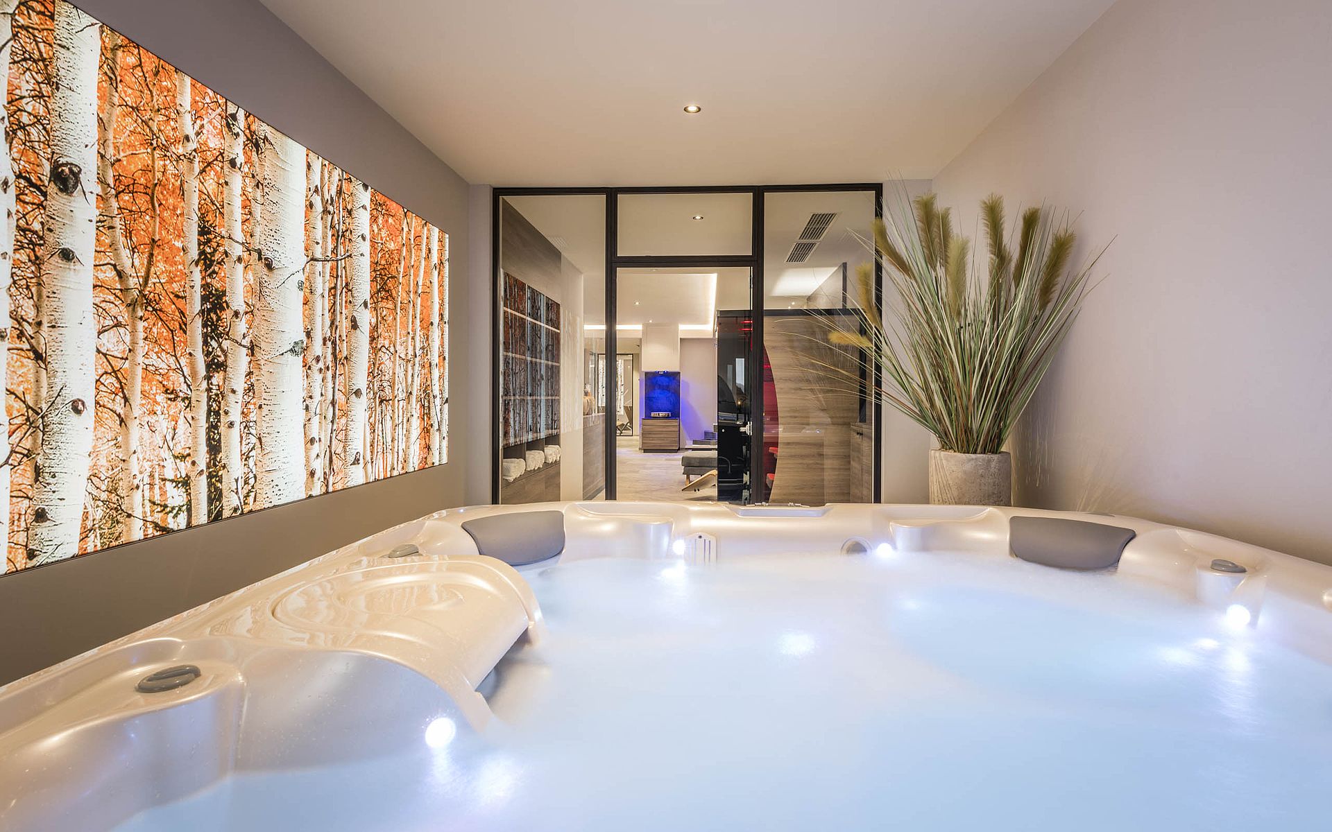sonneburg wellness whirlpool